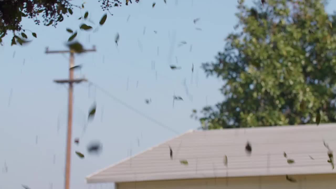 High Power Leaf Blower, Snow Blower, 2 Speed Modes